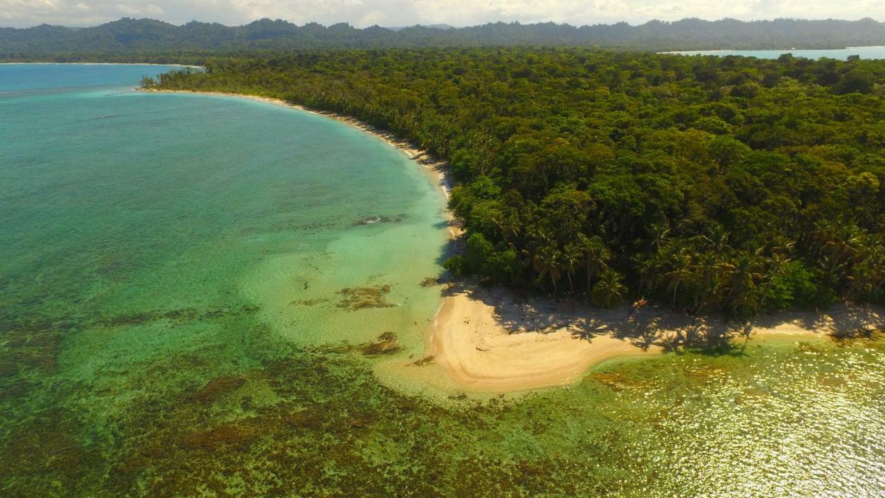 Lilan Nature, Modern House N°1, Private Swimming Pool. Cahuita Extérieur photo
